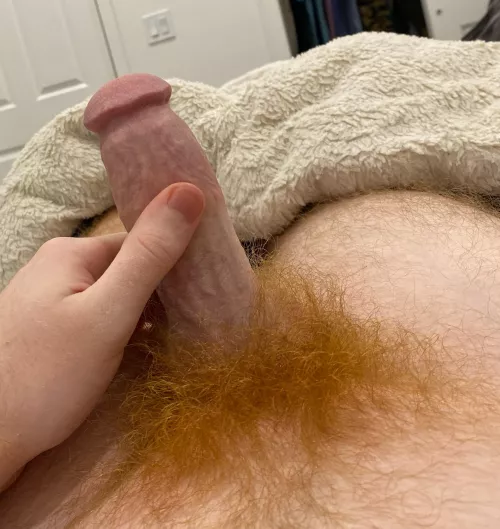 how is my bush? (22)