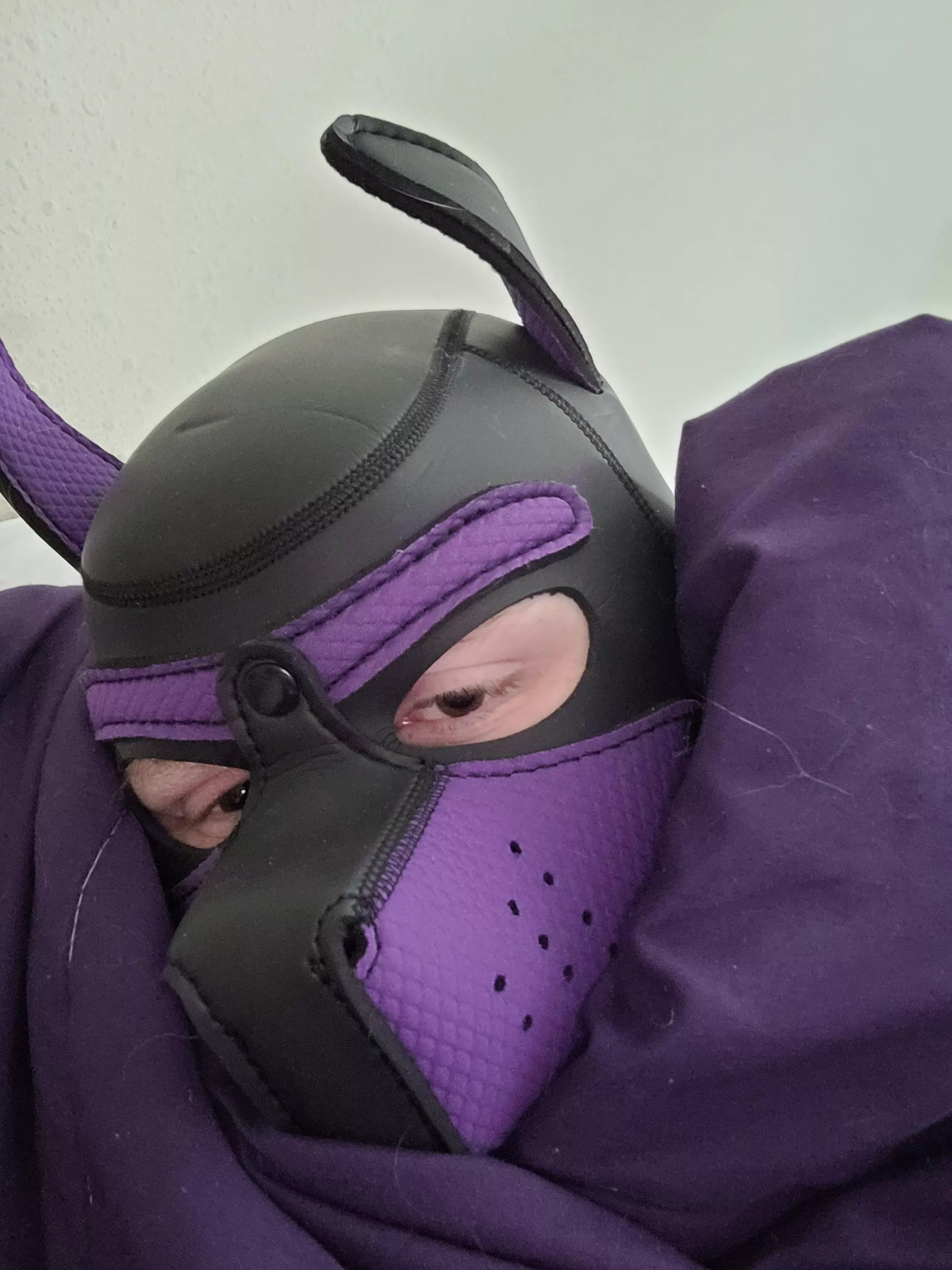 I don't wanna get out of bed today >:(