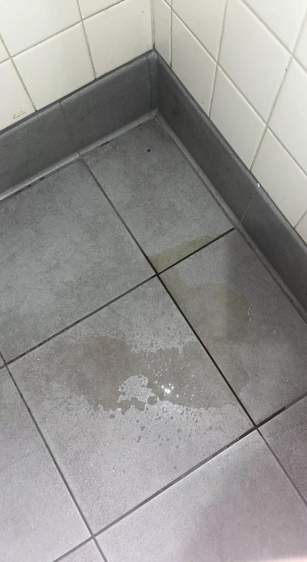 I (f22) got so horny I used my vibrator in the Walmart family bathroom and made myself squirt and pee on the floor