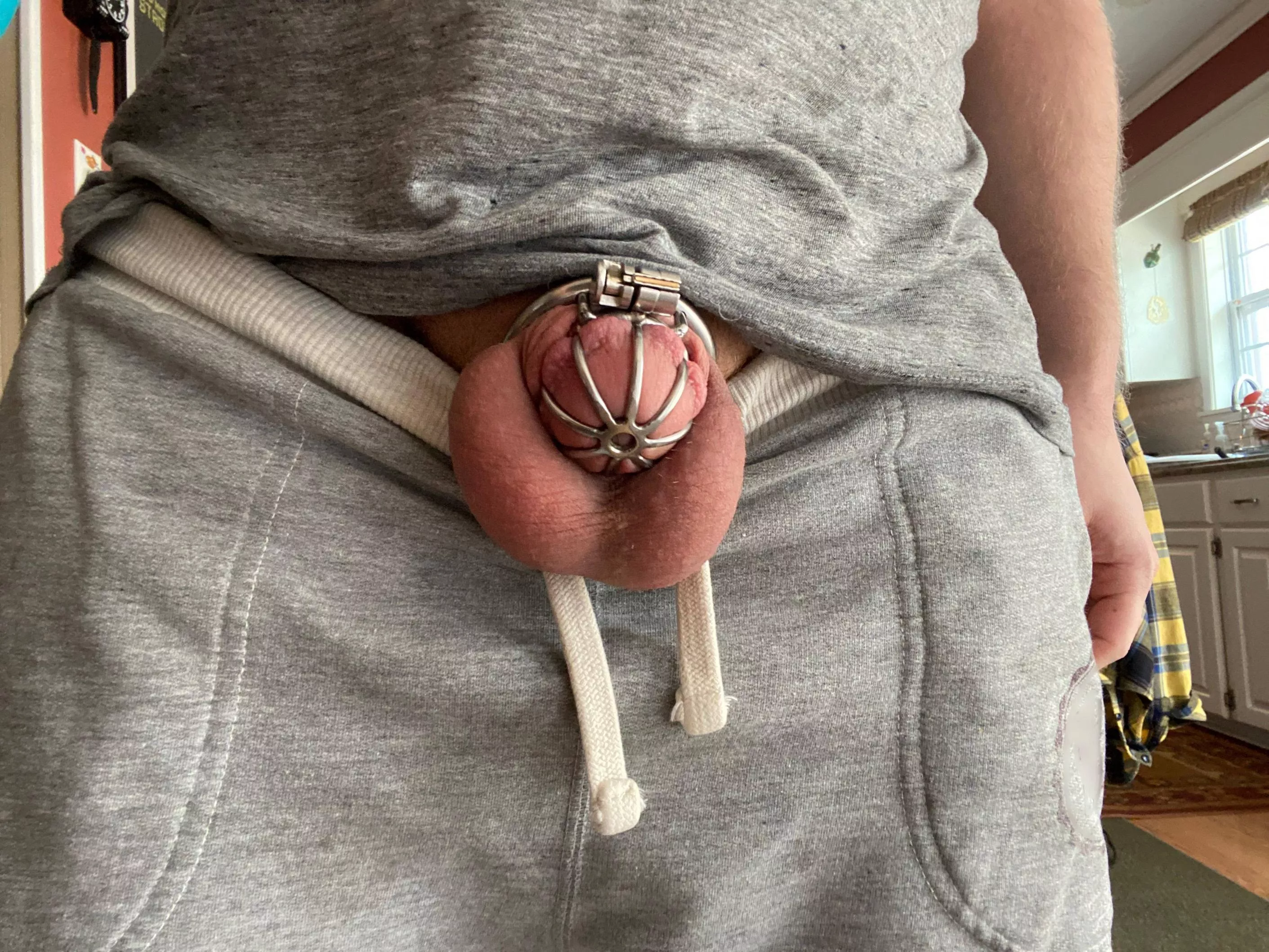 I want to order a custom cage, thoughts on a mature metal jailbird?