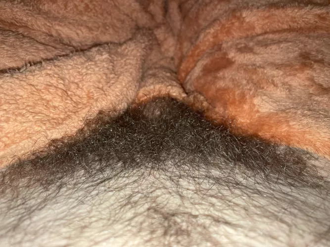 I want to worship your pubic hair. Pls dm me