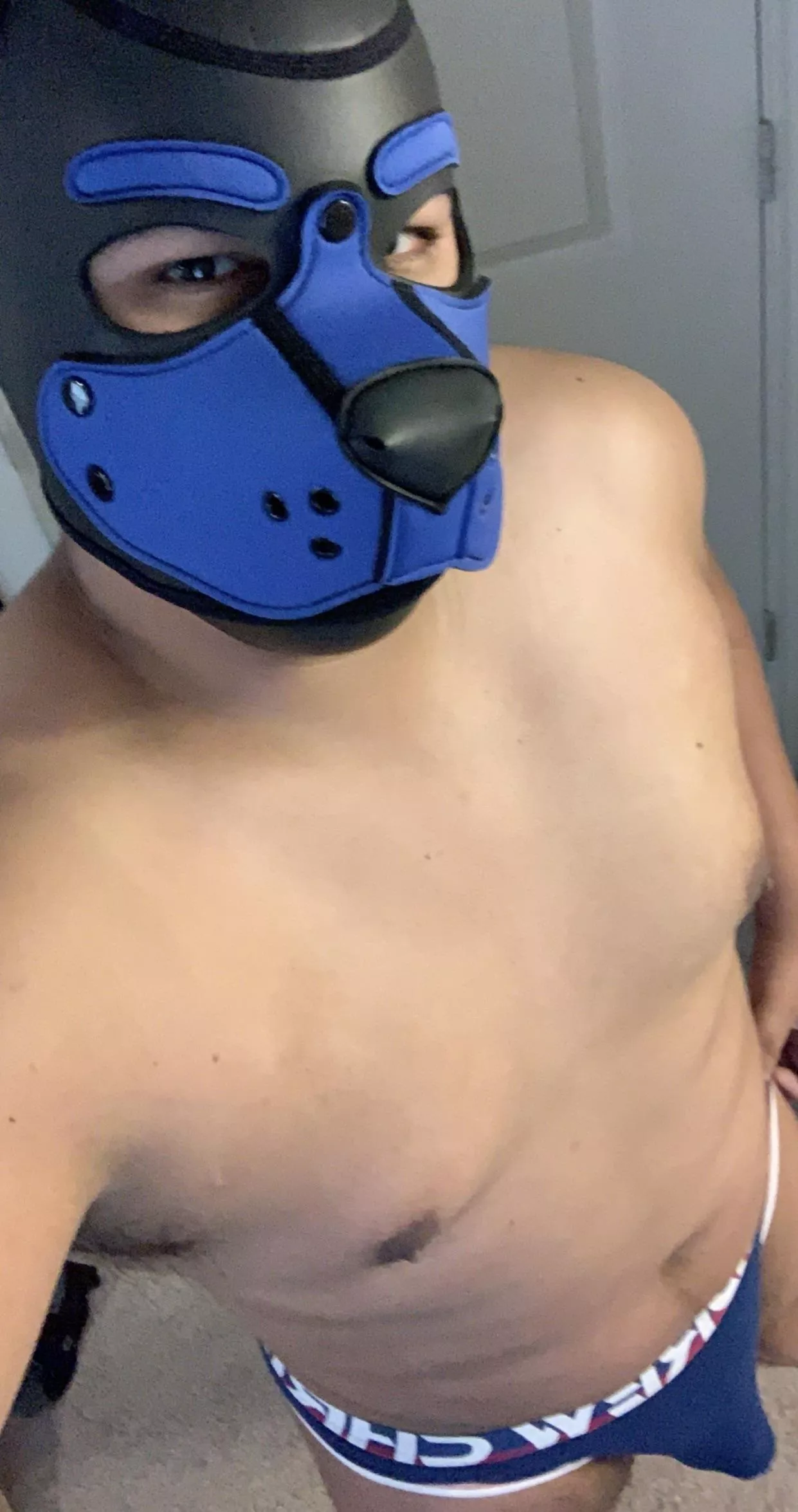 I’ll only say this once….Bork