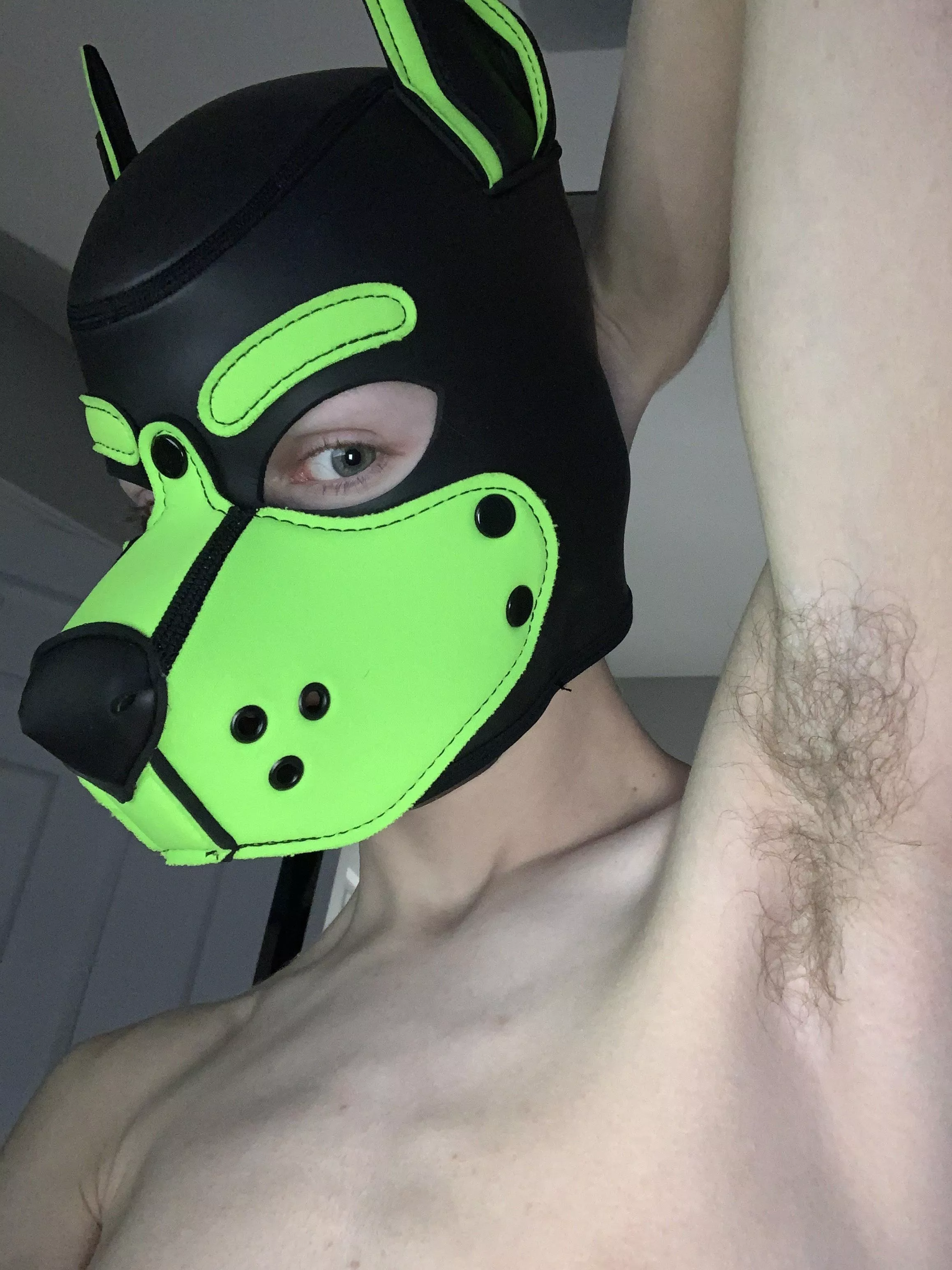 Musky puppy pits 🐾