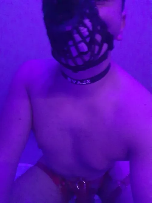 muzzle for bad puppies 🐶😜