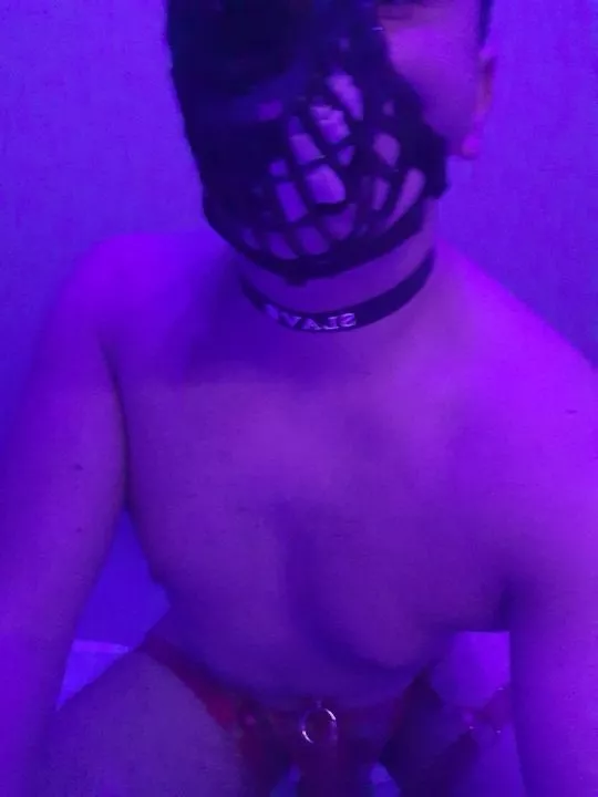 muzzle for bad puppies 🐶😜