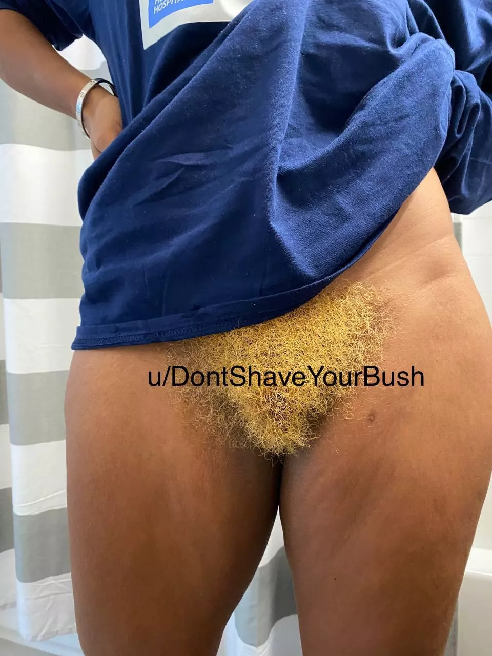 My Blonde Bush