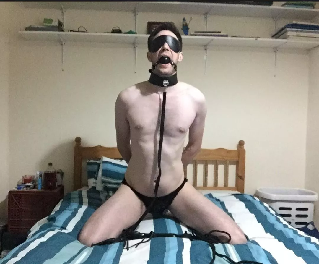 Ready for you Master