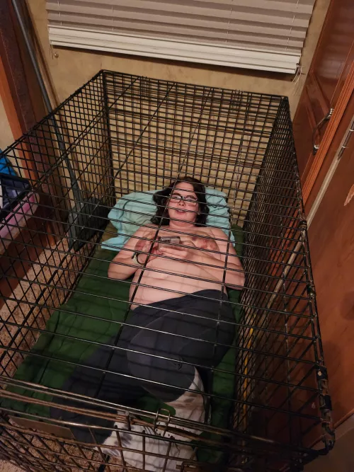 Relaxing in her 2nd home the dog crate!!!