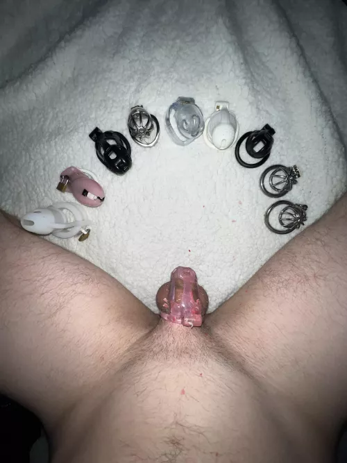 Safe to say I’m addicted