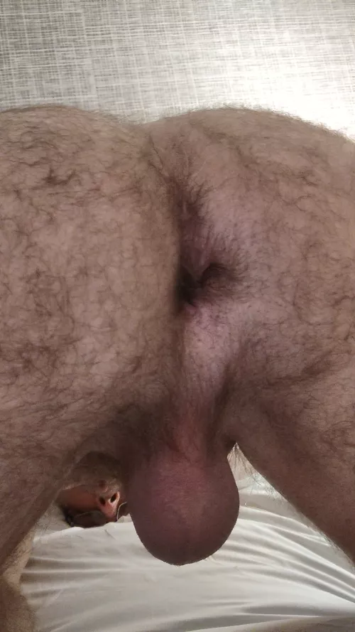 sharing my hairy hole