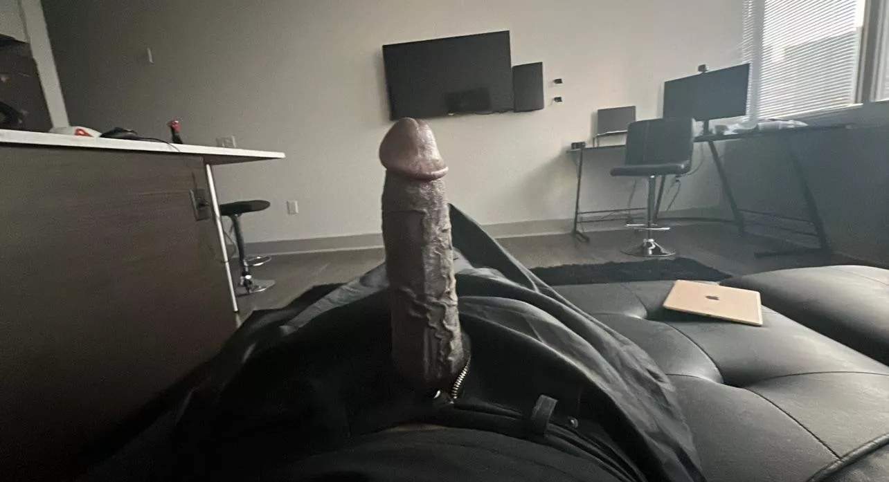 sit on Daddy’s lap in between zoom meetings…