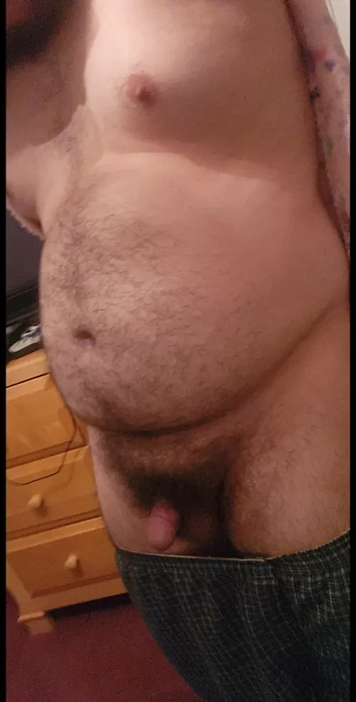 This bear could use some company, dms open