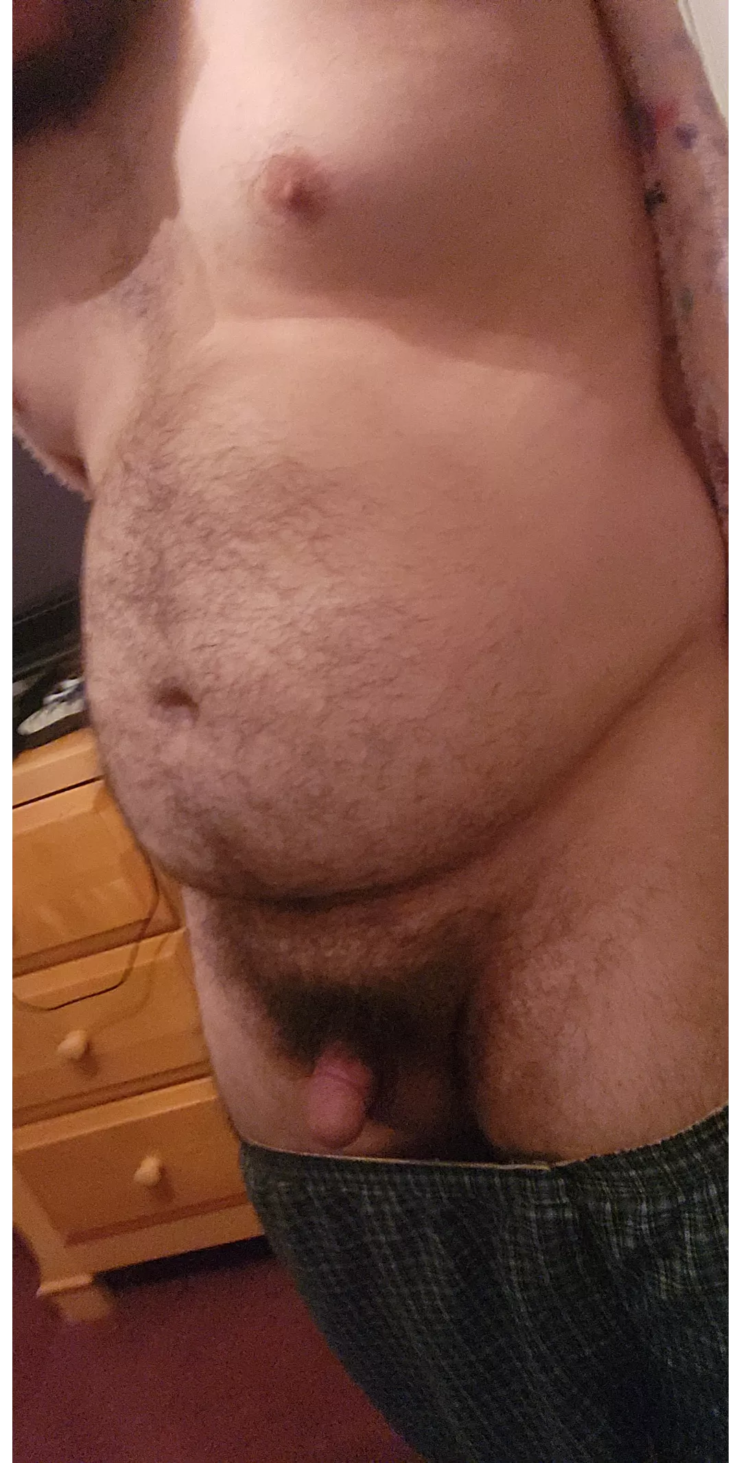 This bear could use some company, dms open