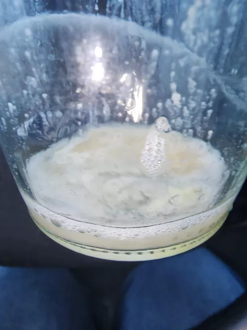 who wants my disgusting spit cup