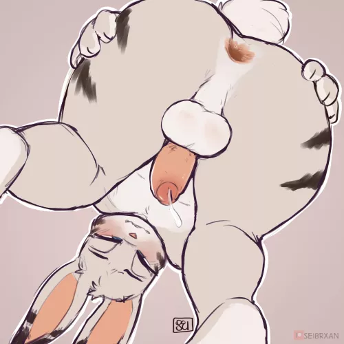 Year of rabbit (Seibrxan)