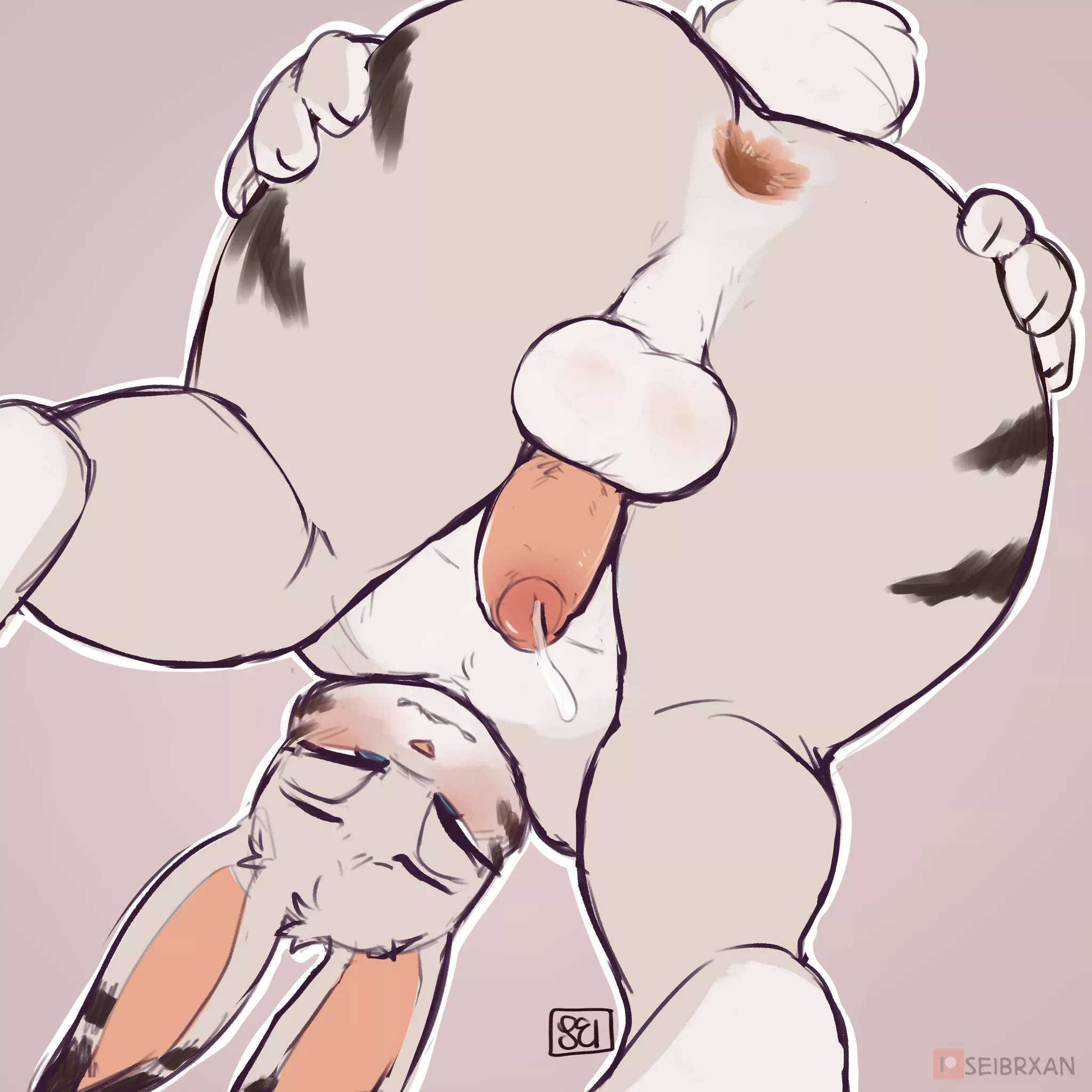 Year of rabbit (Seibrxan)