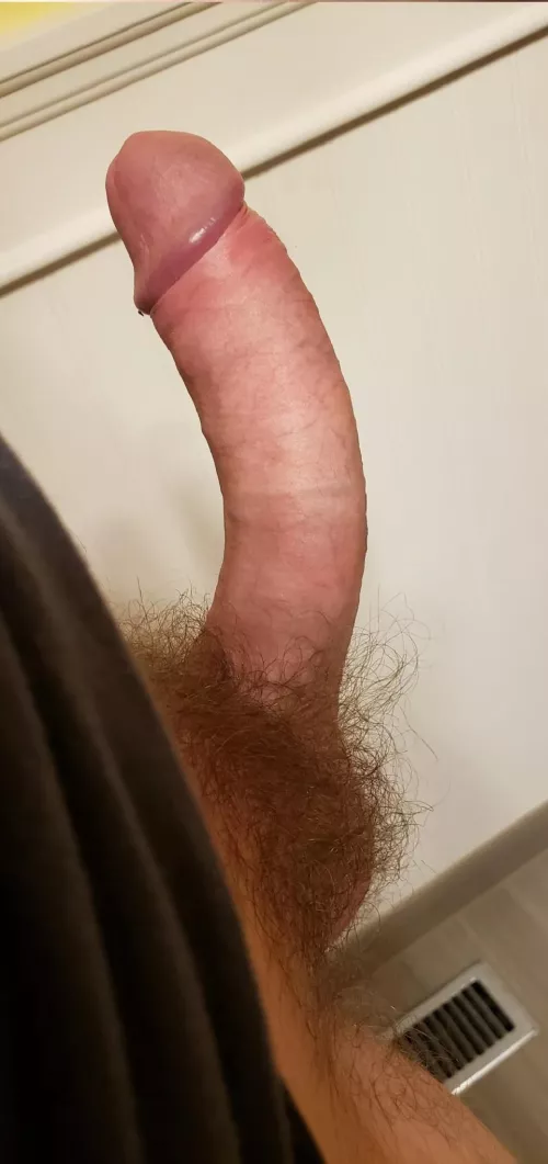 23m Looking for someone who wants to be told what to do. @joshwhy54