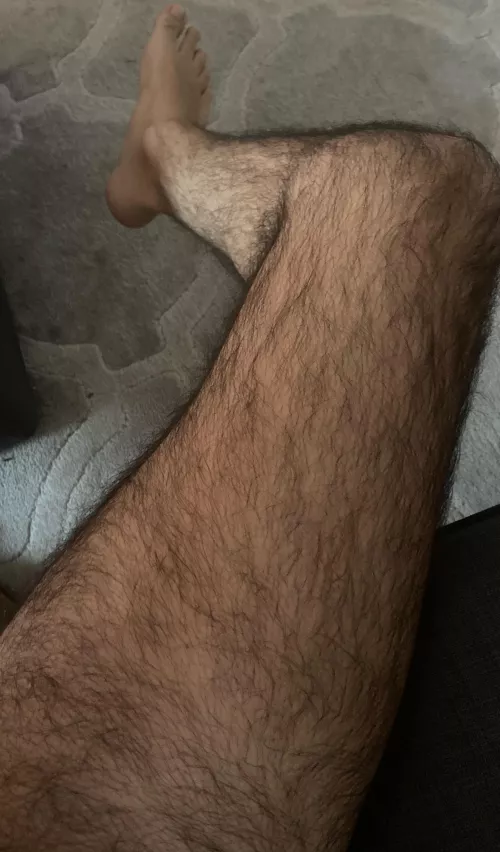 30 Canada. Hairy and Horny. Show face. No Live.