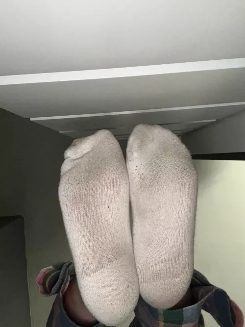 Are they better before or after the gym?😉