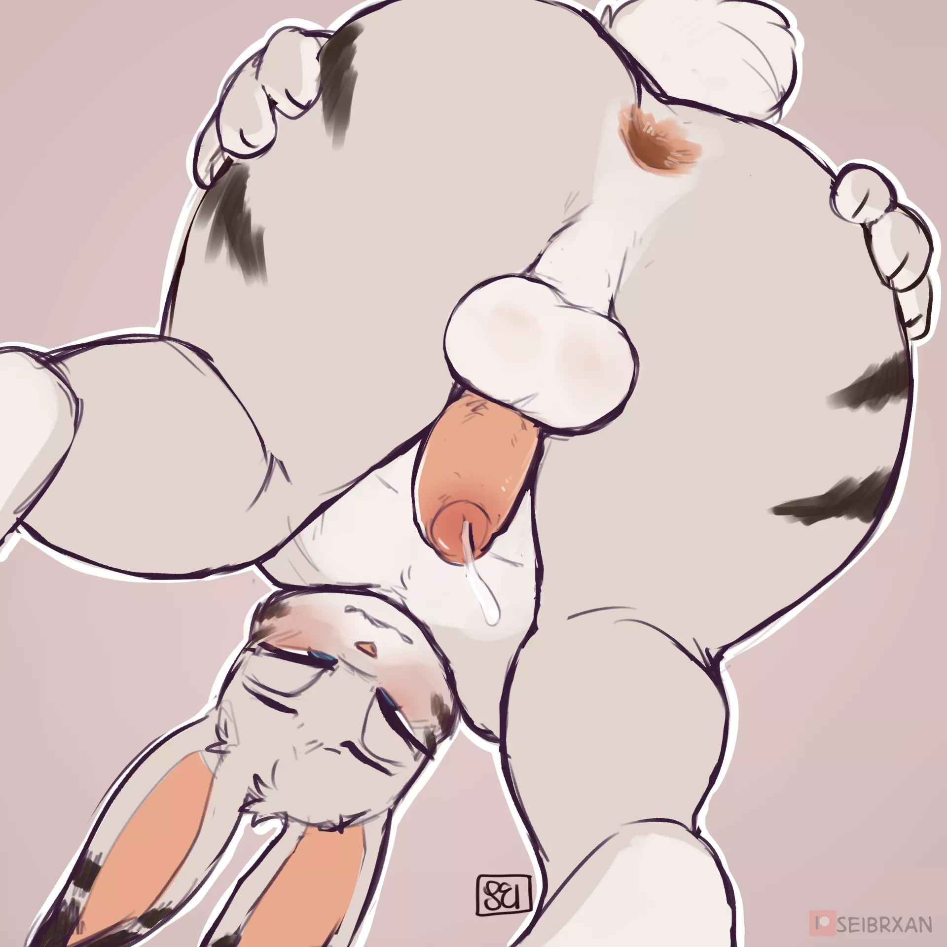 Bunny Butt [seibrxan]