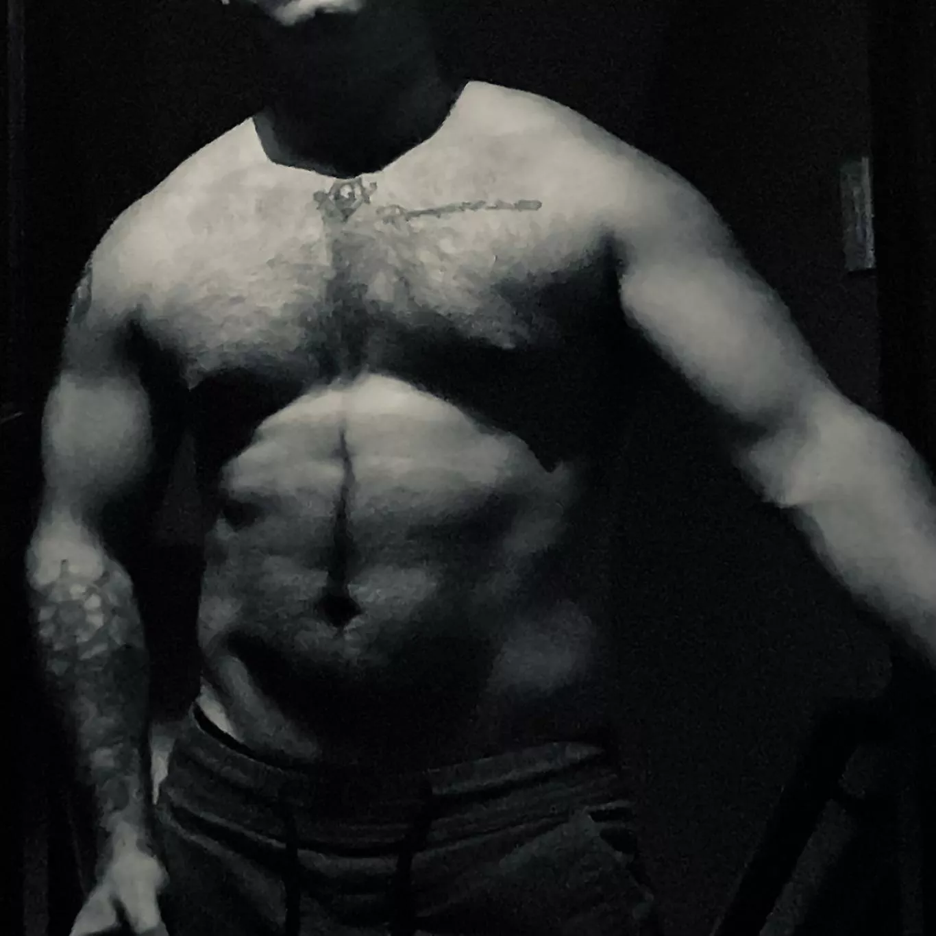 Can a dadbod have a V?