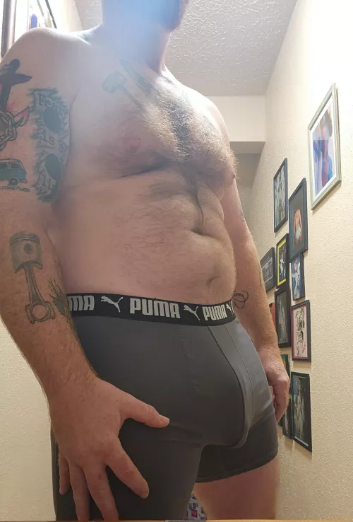 Cum touch my Ginger fur.