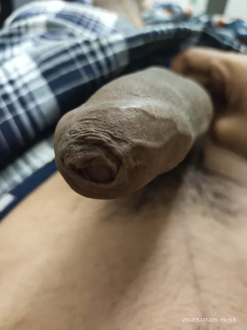 girls dm me for fun 💦💦