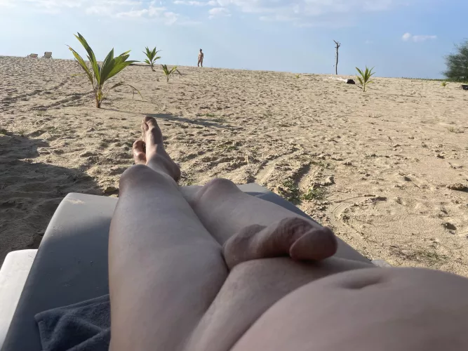 Got a semi along the beach 🏝️