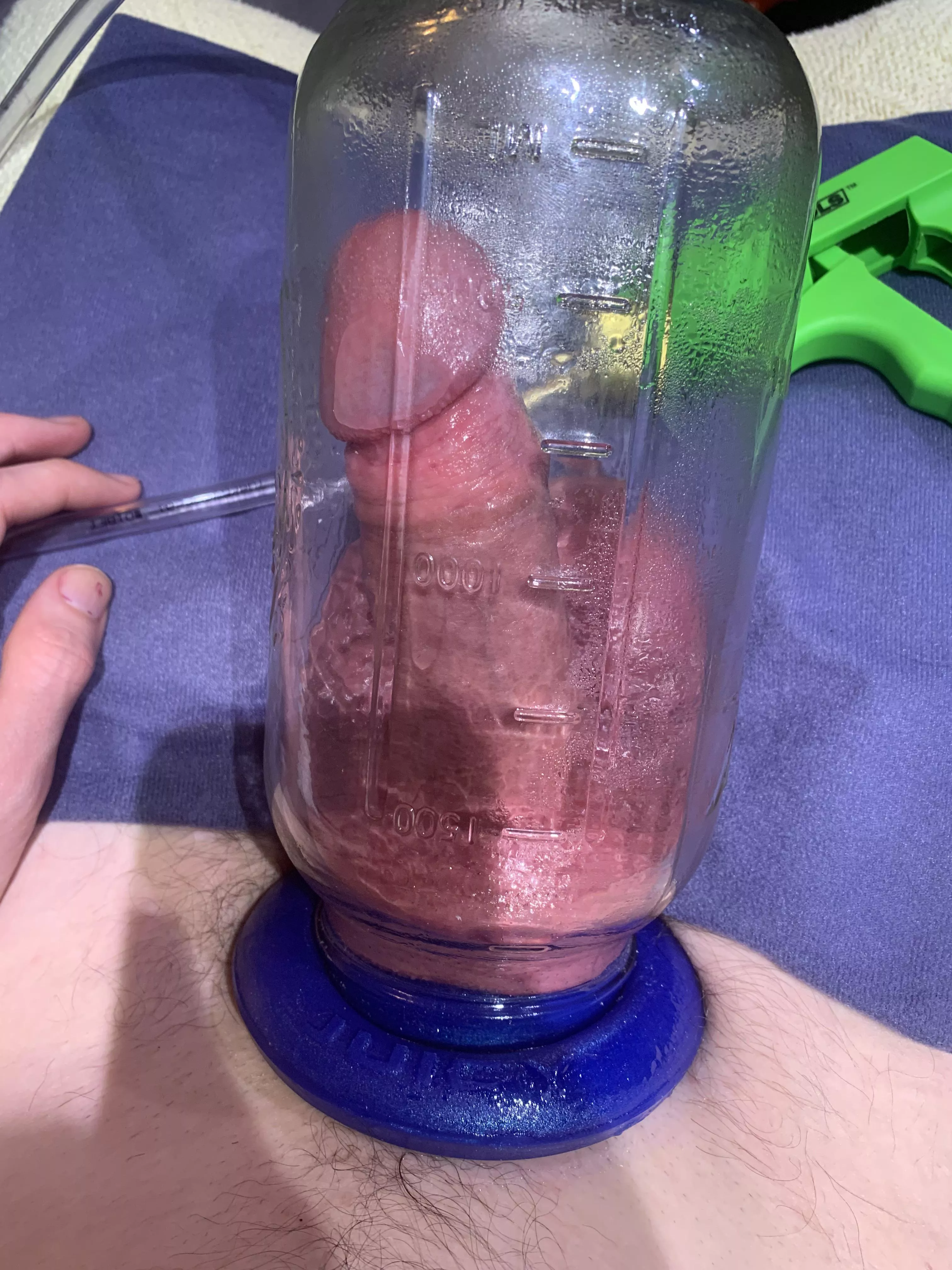 Growing in the jar for a bit