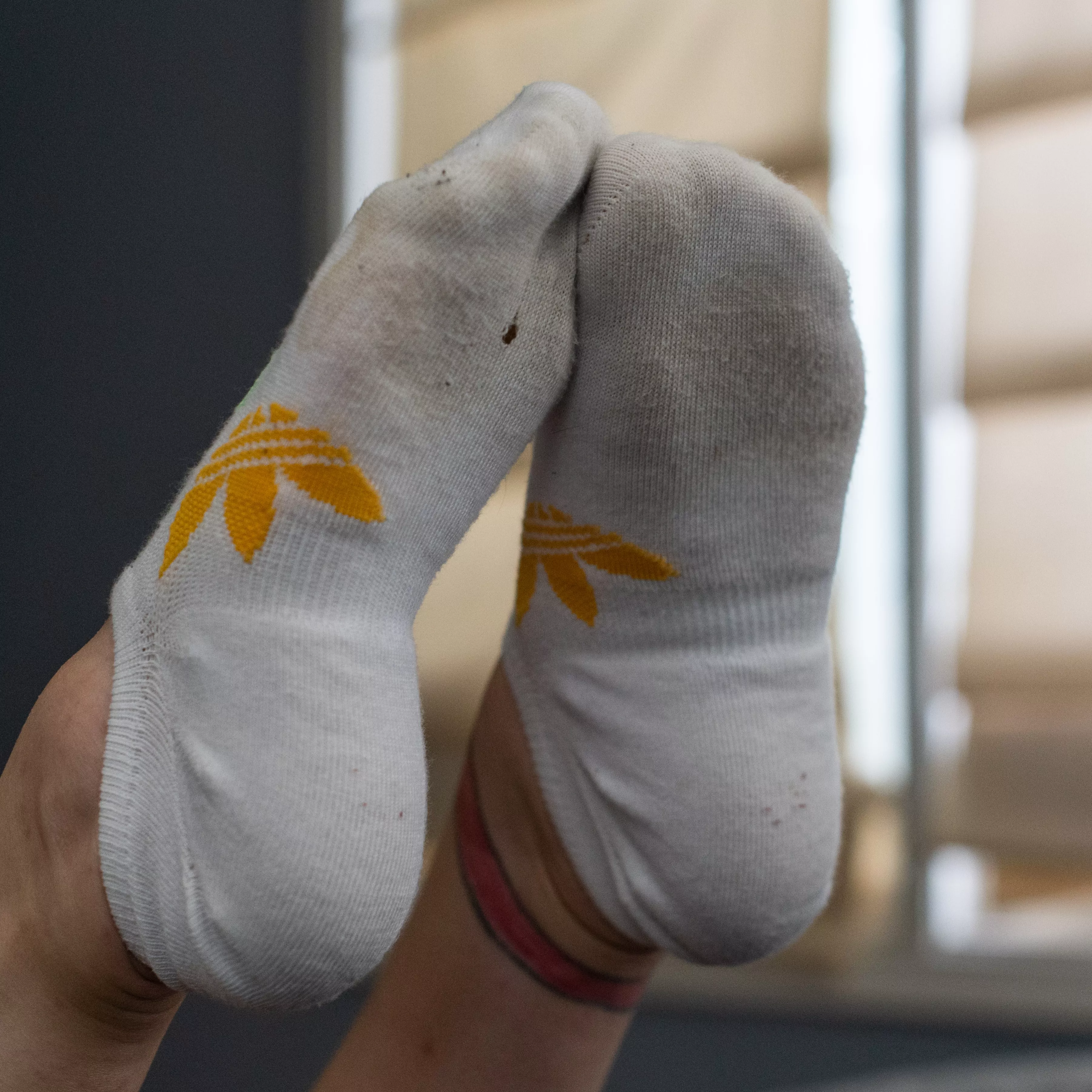 I bet you're dying to have my warm socks on your [f]ace