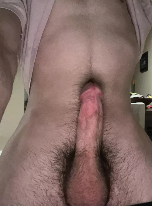 I want to cum in your ass