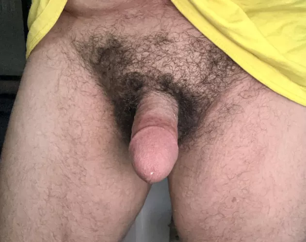 letting the forest reclaim the land