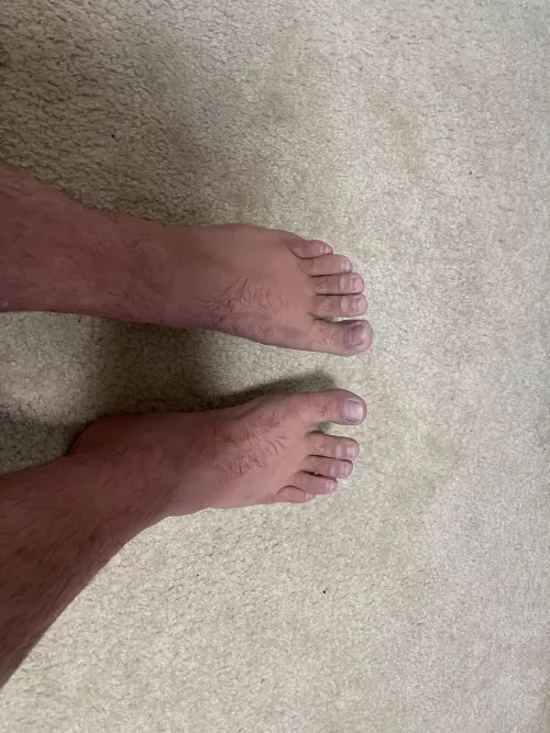 Long time lurker, first time poster. Fresh out of the pool!