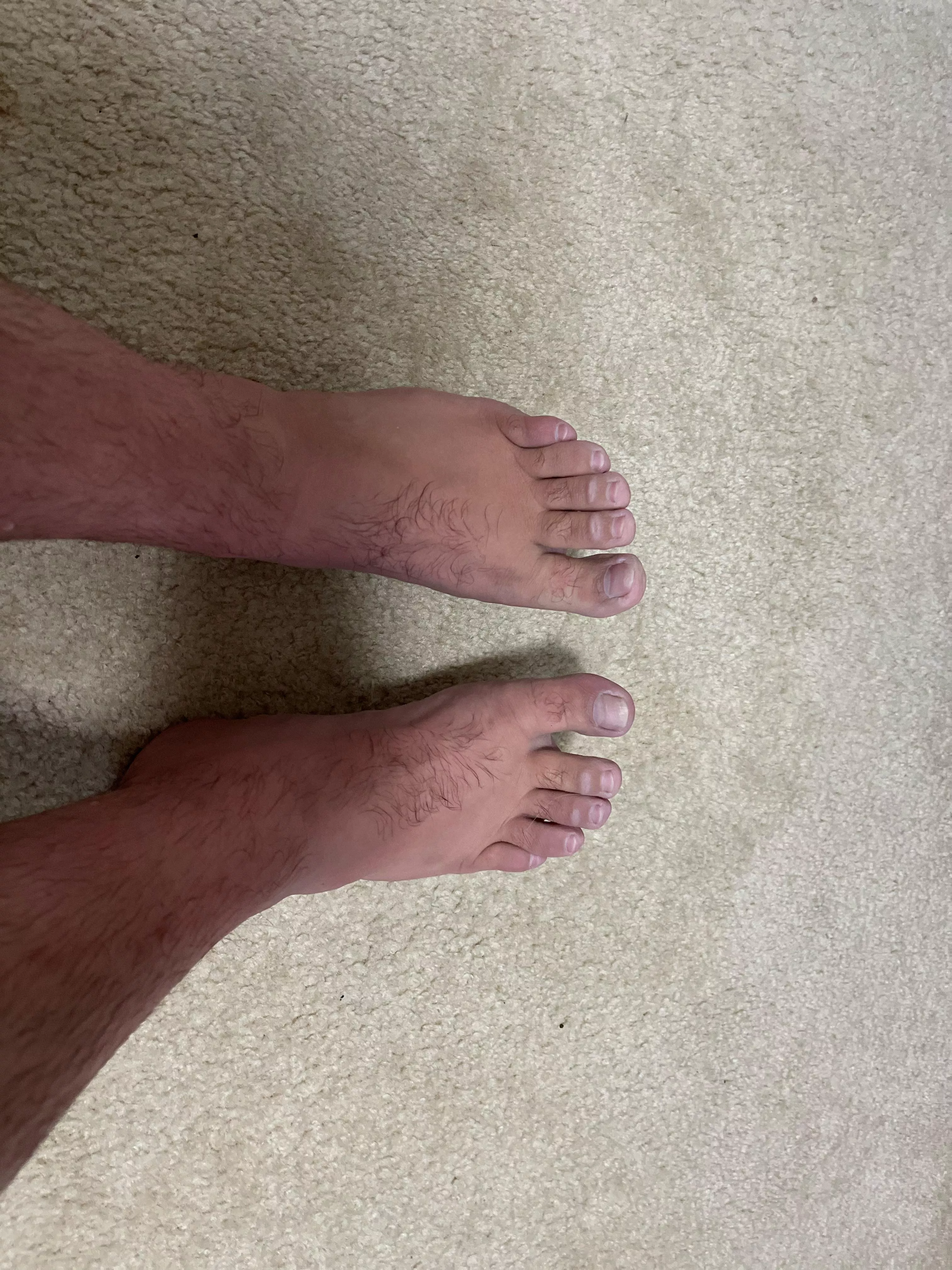 Long time lurker, first time poster. Fresh out of the pool!