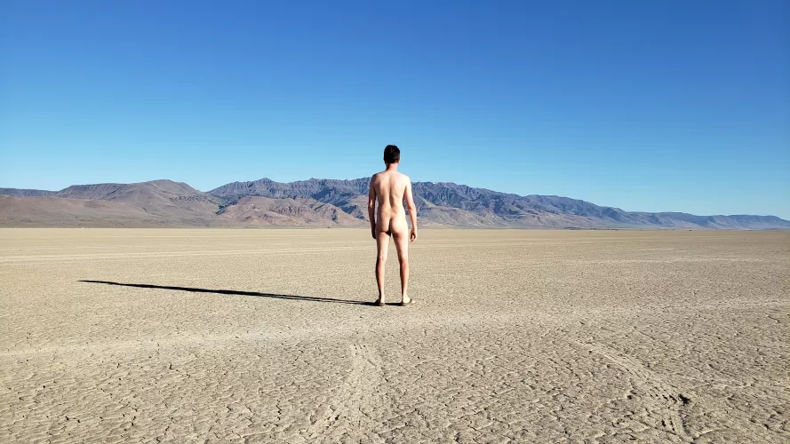 [M] Sharing some cake on my Cake Day