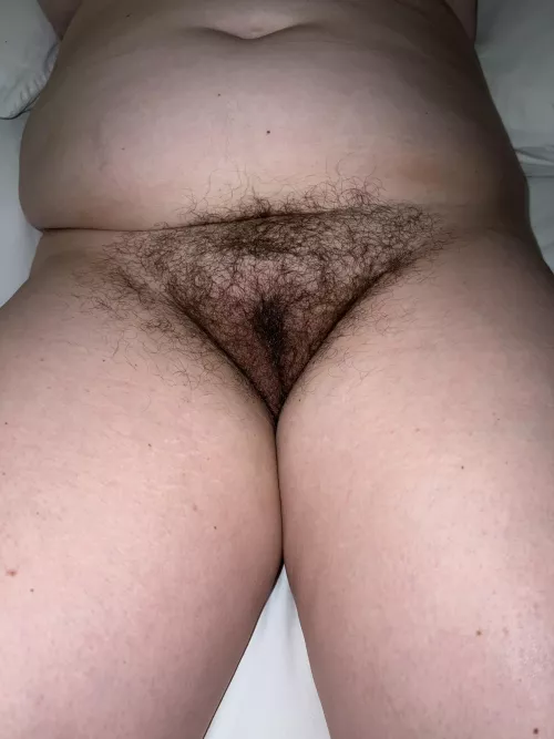 My 40 year old Canadian milf’s bush.