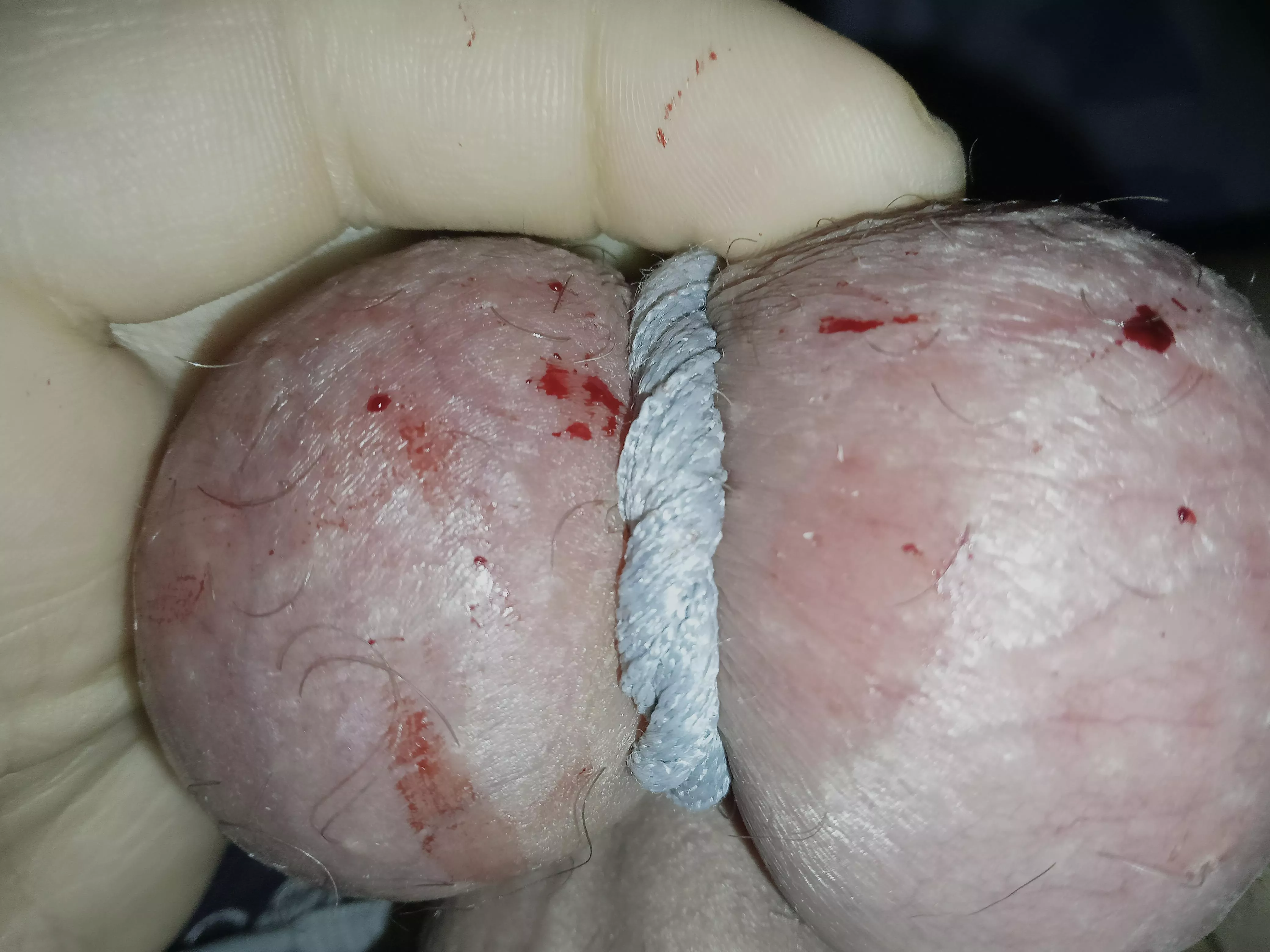 my mistress with comb