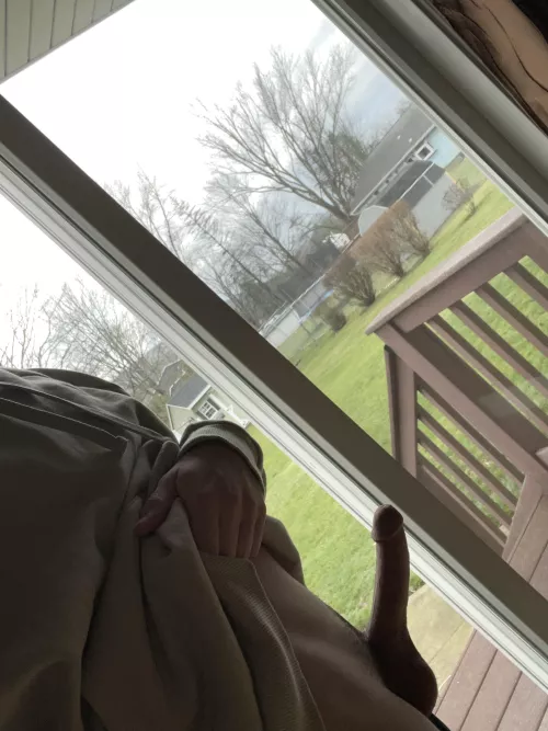 my neighbors probably saw me