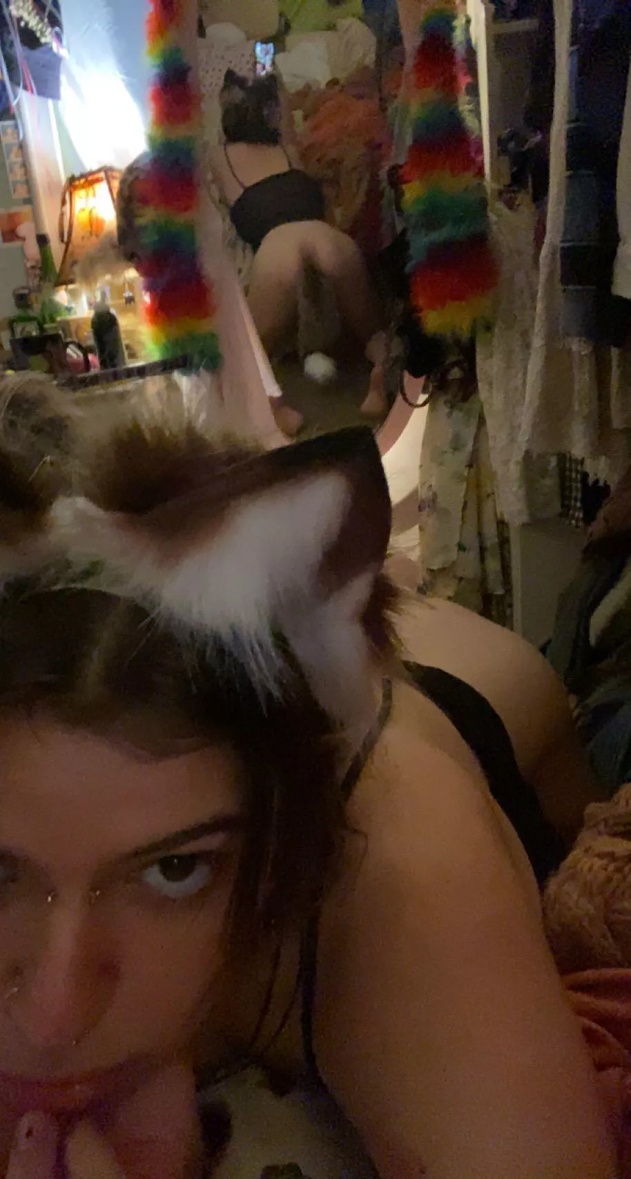 pretty tail