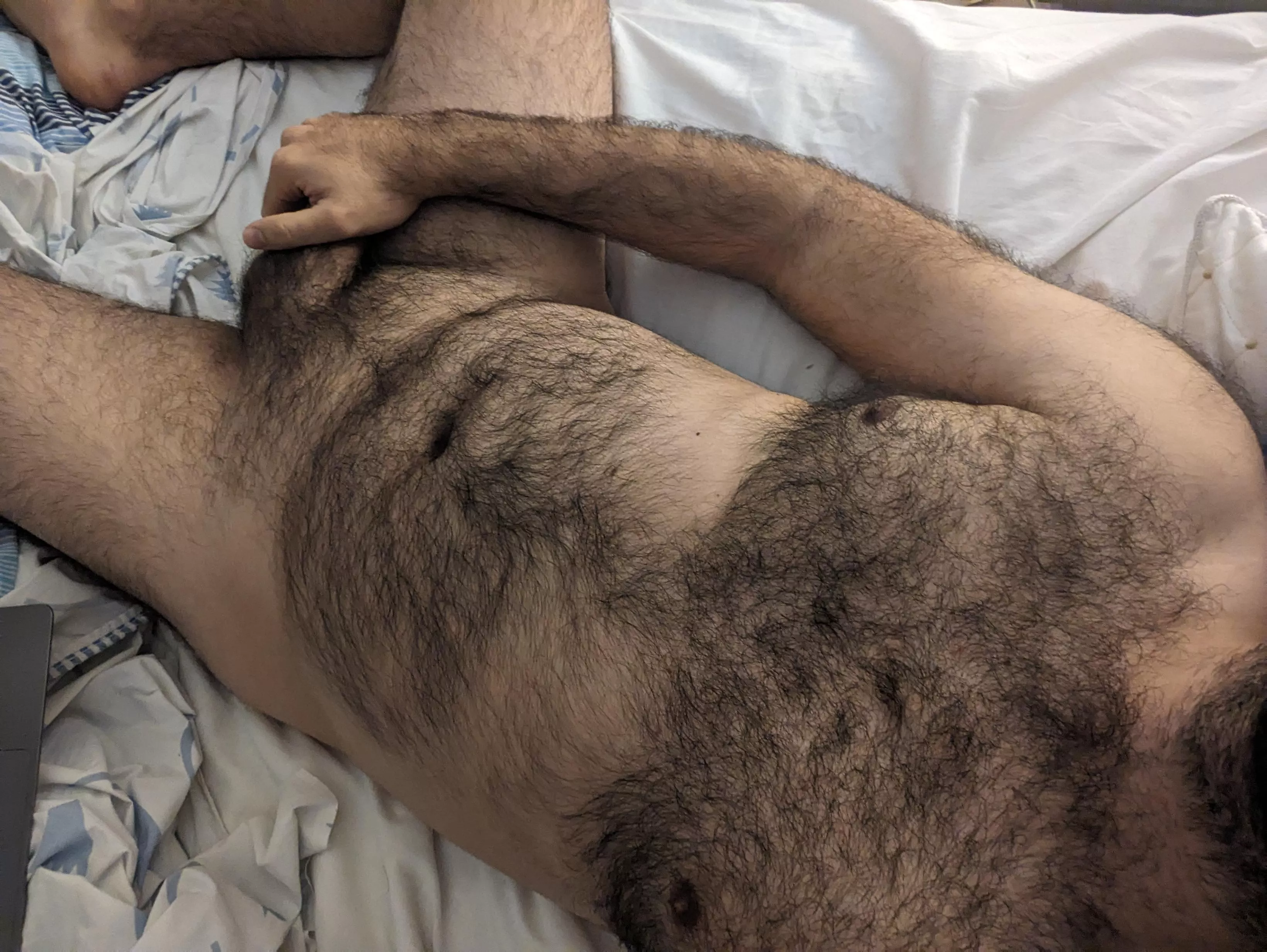 Quiet morning in bed