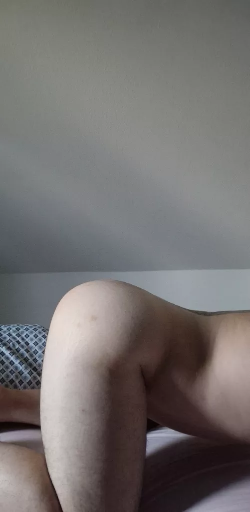 slutty bottom on sc: lecygnenoirr