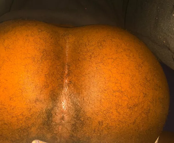 Sniff my ripe hole after I workout