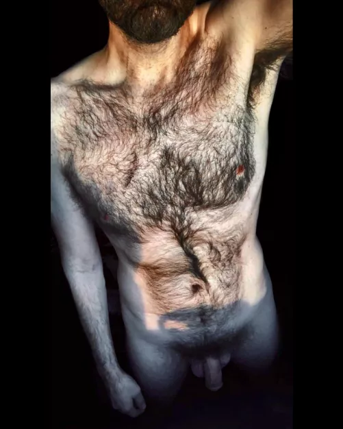 Sunshine on my fur tho... ☀️