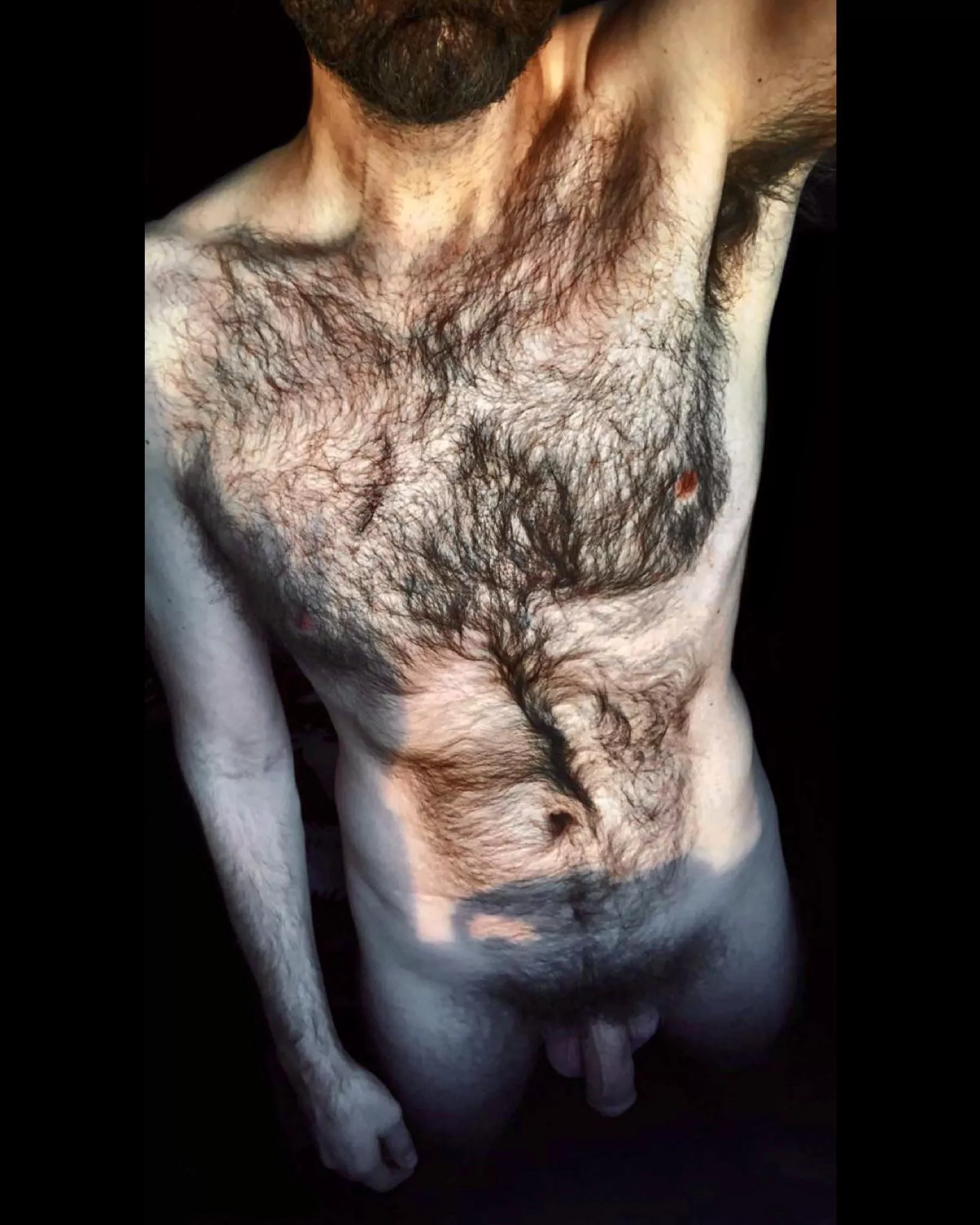 Sunshine on my fur tho... ☀️