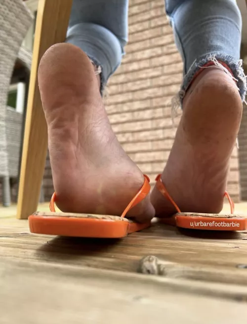 What are you doing there, lying under my chair?