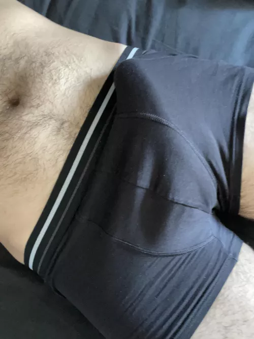 Who can remove this boxer?🙈