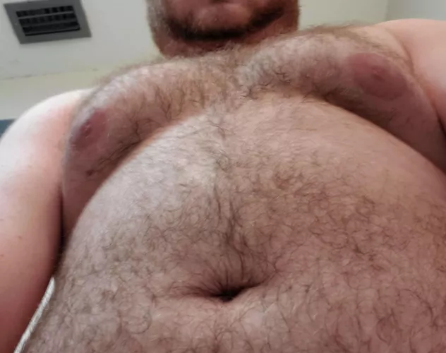 You want to lay on my big bear pecs?