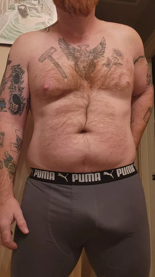 Your morning serving of Gingerdude.