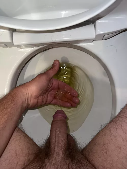 (36) anyone else love some golden mornings too?? 🤤