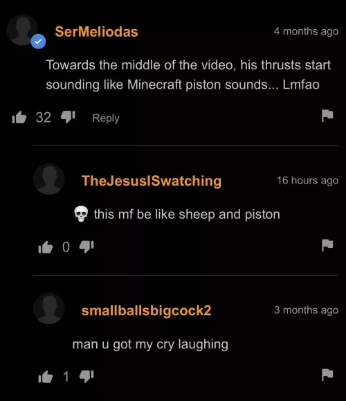 Average Minecraft Enjoyer